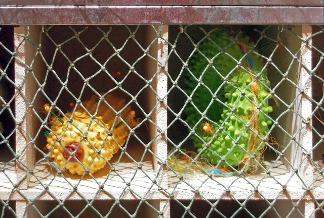 Arca Arcana: "mates" in cells of ark