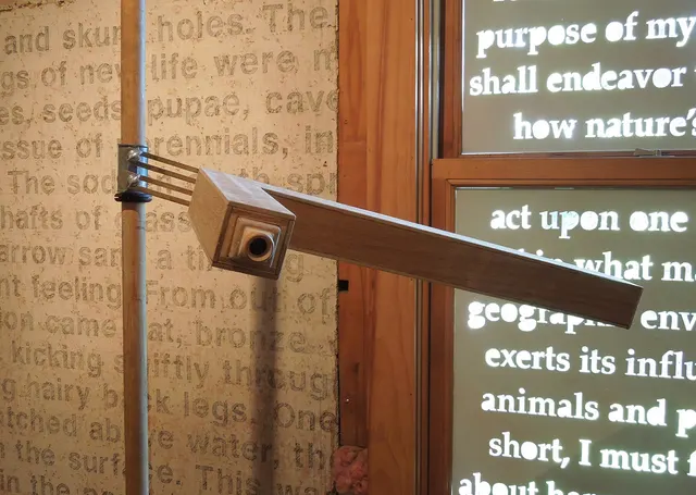 Kosmos: wooden magnifying periscope detail