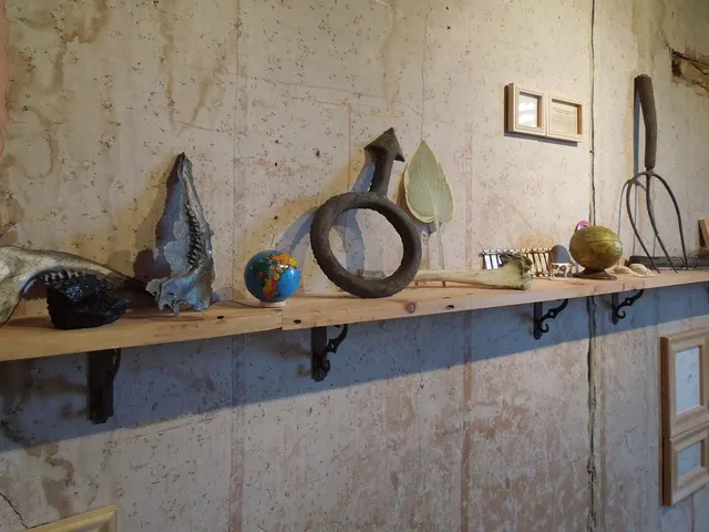 Kosmos: north shelf detail