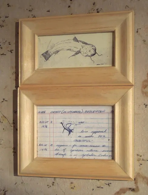 Kosmos: framed fish sketch (Humboldt) and journal (Groshek) pair