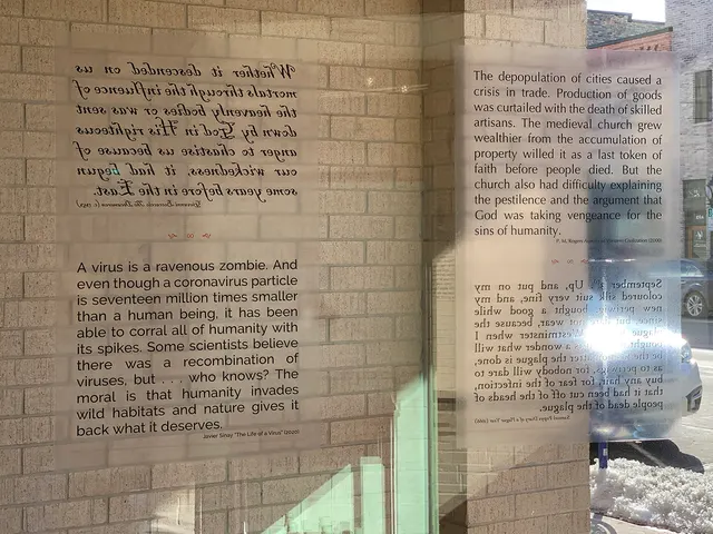 Miasma I: Causae et Curae: south window texts