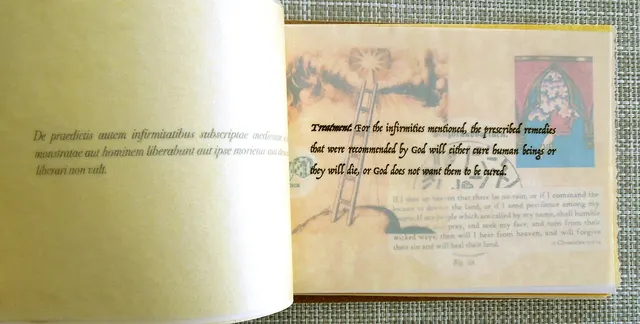 Miasma I: Causae et Curae: book detail: treatment note