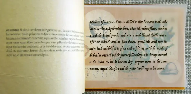 Miasma I: Causae et Curae: “madness” prescription (English)