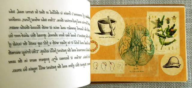 Miasma I: Causae et Curae: “madness” prescription illustration