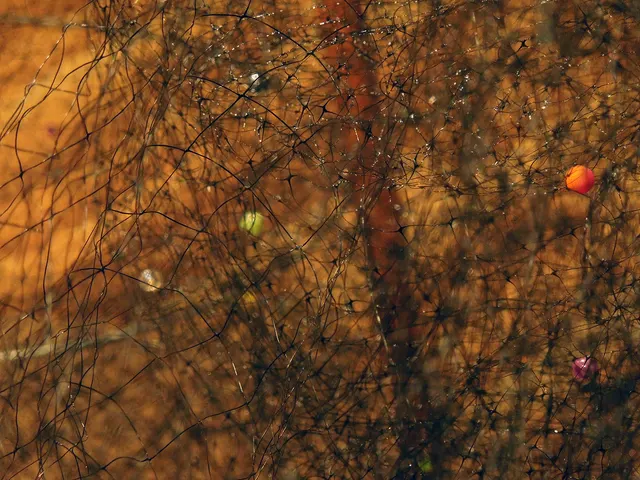 Miasma II: miasma detail
