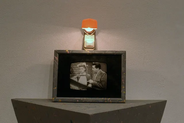 Mneme VI: Friends of the Family: detail: Lucy and Desi photo with pink nightlight