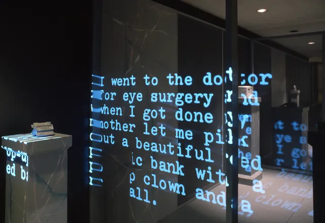 Mneme XVIII: Rites of Passage: detail: memory text projection