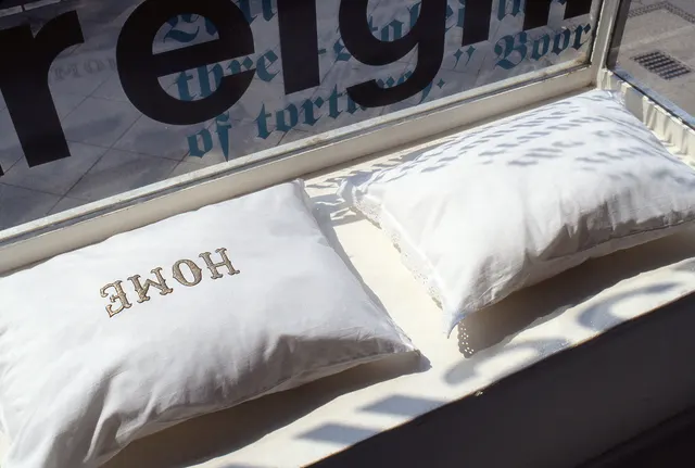 Mneme XXV: Traum [Dream]: window detail: embroidered pillow