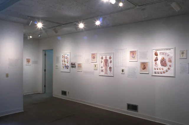 Surveying Desire VII: The Pathology of the Heart: room 1: north wall