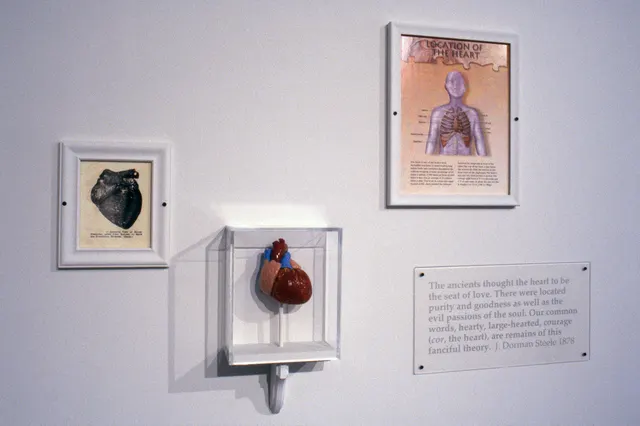 Surveying Desire VII: The Pathology of the Heart: detail: heart images, text, and model