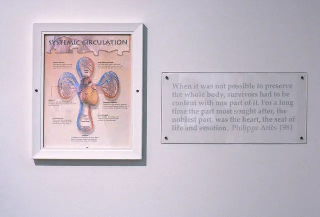 Surveying Desire VII: The Pathology of the Heart: detail: heart circulation diagram and text