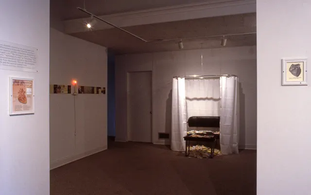 Surveying Desire VII: The Pathology of the Heart: room 2: waiting area