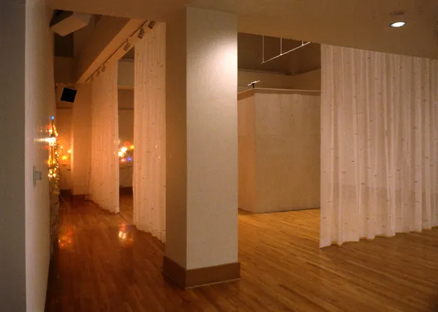 Surveying Desire VIII: Reconnaissance: view into gallery with curtains and candle walls