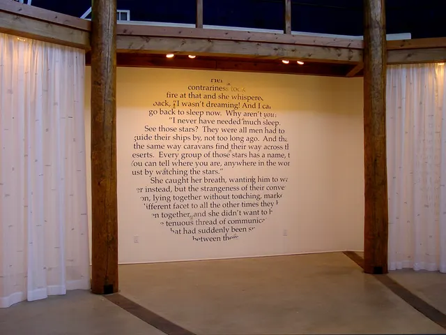 Surveying Desire XIII: Observatory: wall section with romance novel text