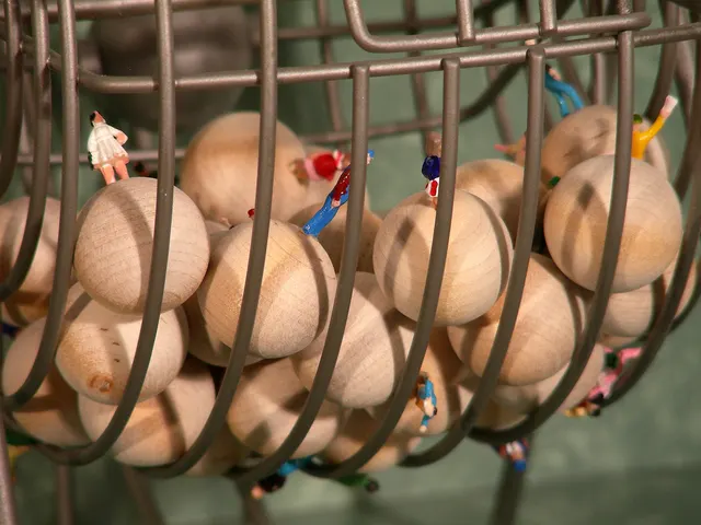 Surveying Desire XIV: Fortuna: bingo cage detail