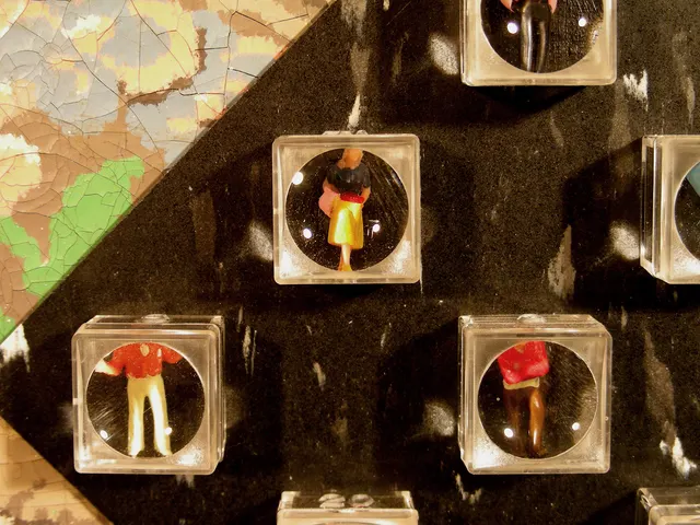 Surveying Desire XIV: Fortuna: numbered magnifying boxes with figures