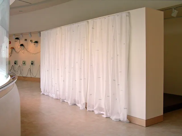 Surveying Desire XV: Overtures: center curtain wall