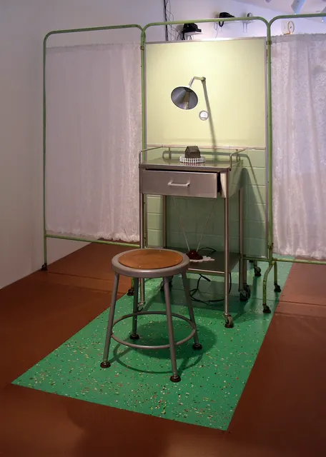 Surveying Desire XV: Overtures: one side of paired “fitting rooms”