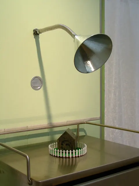 Surveying Desire XV: Overtures: booth detail: ear trumpet, speaking vent, steel house inside picket fence