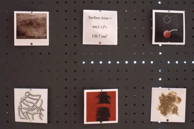 Terra Firma I: Distance Decay: object depictions: electron micrograph, mathematical formula, pastel drawing, ink diagram, photograph, direct print