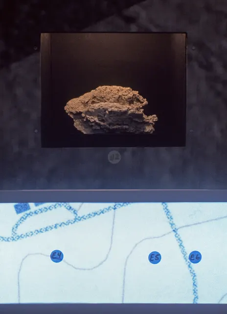 Terra Firma I: Distance Decay: detail: map of walk to east; plaster cast of deer track