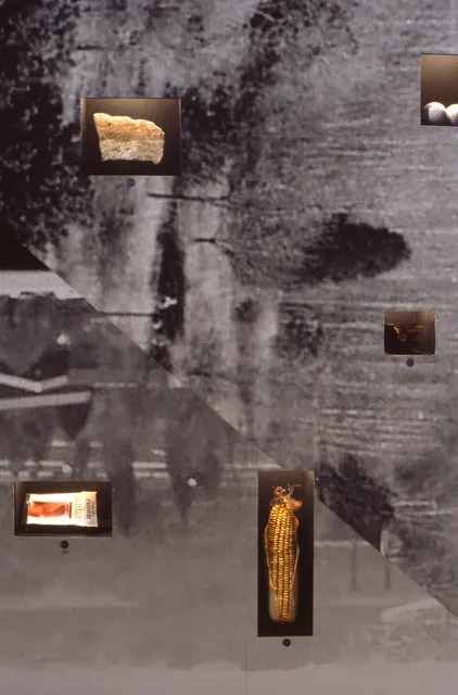 Terra Firma I: Distance Decay: illuminated niches: Styrofoam, golf balls, butterfly, cigarette pack, corn  cob