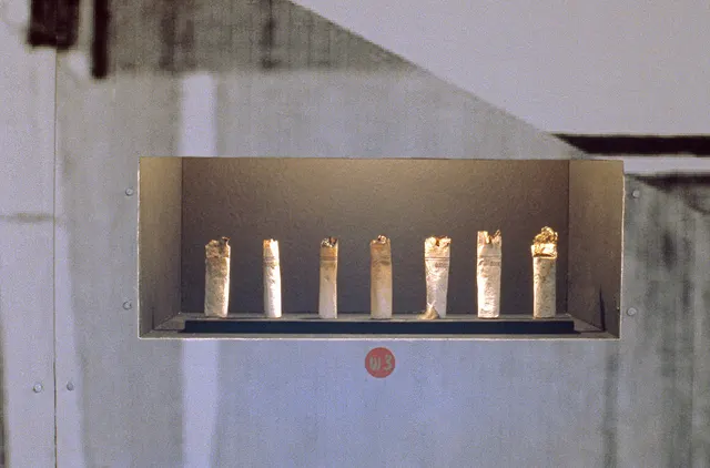 Terra Firma I: Distance Decay: niche with cigarette butts