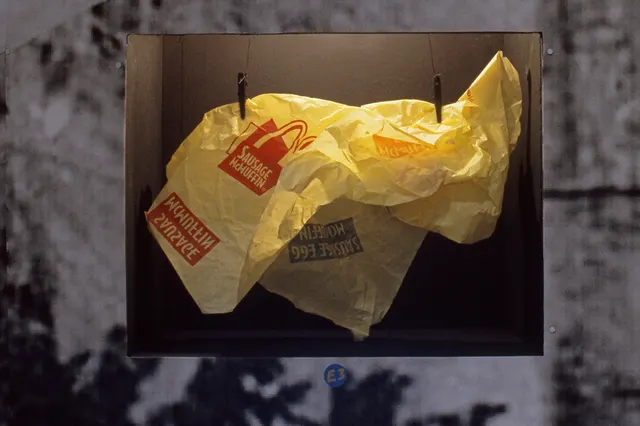 Terra Firma I: Distance Decay: niche with McDonald’s wrapper
