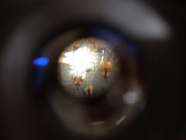 Terra Firma III: view of panel and map through lens